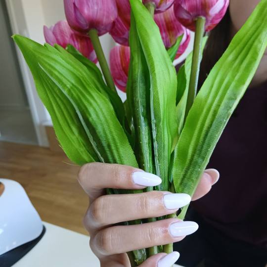 Magnolia #podgorica Manikir Trajni lak - ruke