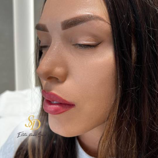 Akademija za estetiku i kozmetologiju Sara #podgorica Trajna šminka Trajna šminka - usne