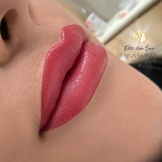 Akademija za estetiku i kozmetologiju Sara #podgorica Trajna šminka Trajna šminka - usne