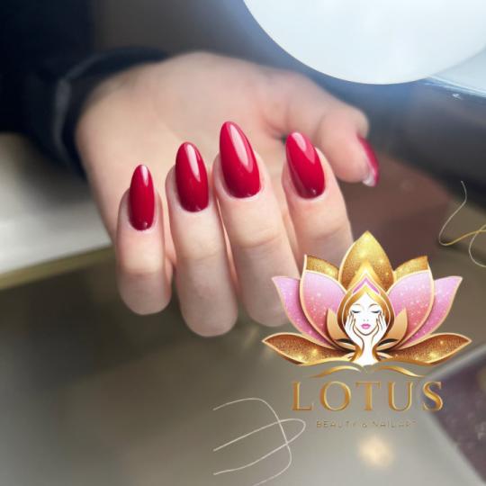 Lotus Beauty & Nail art usluga