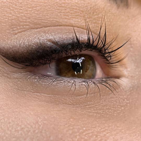 Akademija za estetiku i kozmetologiju Sara #podgorica Trajna šminka Trajna šminka - eyeliner