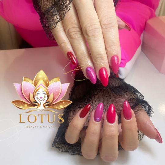 Lotus Beauty & Nail art usluga