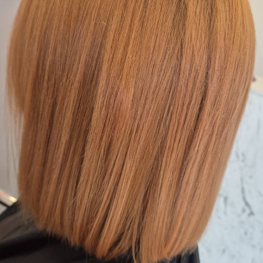 Honey #podgorica Farbanje kose Farbanje cijele dužine - kosa srednje dužine Farbanje kose
