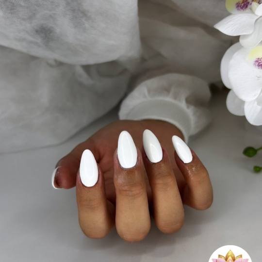 Lotus Beauty & Nail art #podgorica