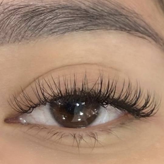 Studio 4 #niksic Trepavice Lash lift