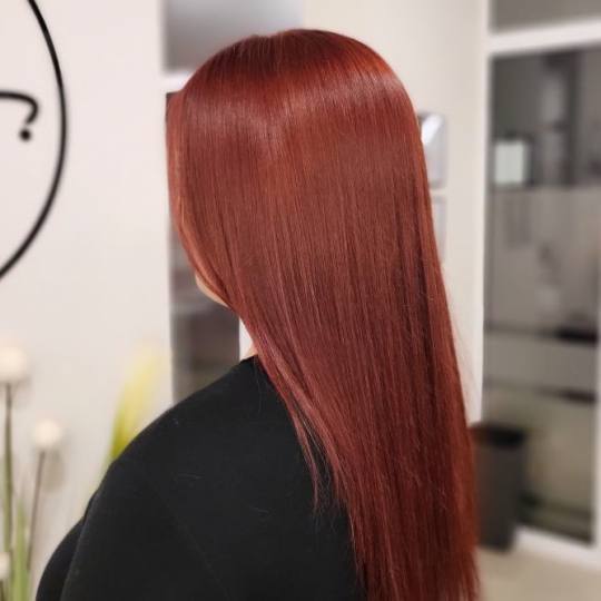 Honey #podgorica Farbanje kose Farbanje cijele dužine - duga kosa