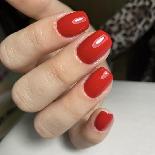 Beauty by Gabrijela #bar