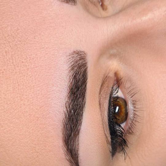 Jovana Mijović #podgorica Trajna šminka Microblading + sjenčenje obrva