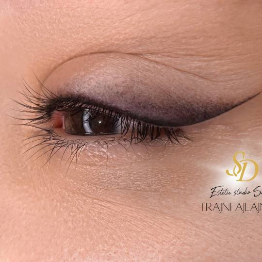 Akademija za estetiku i kozmetologiju Sara #podgorica Trajna šminka Trajna šminka - eyeliner
