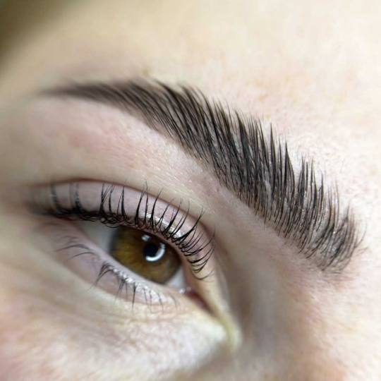 Jovana Mijović #podgorica Obrve Brow lift Obrve