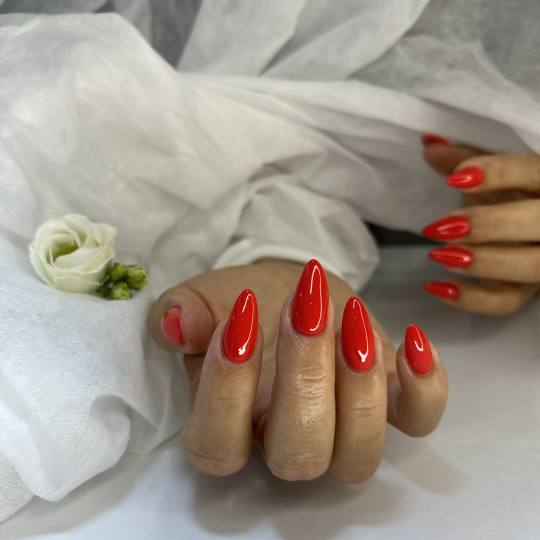 Lotus Beauty & Nail art #podgorica