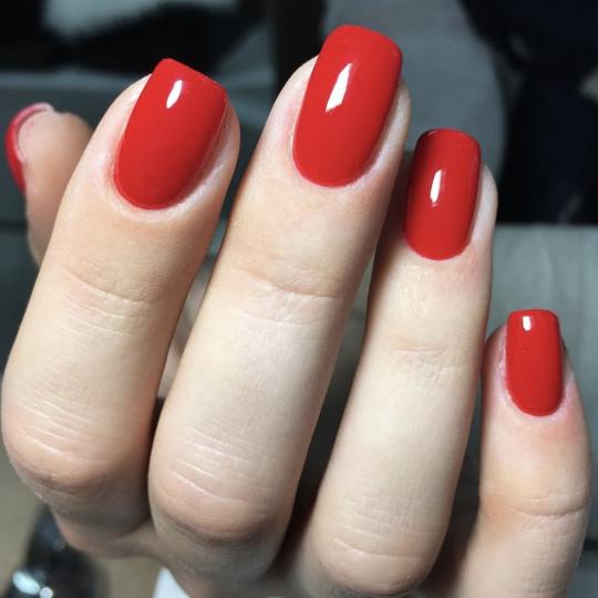 Beauty by Gabrijela #bar
